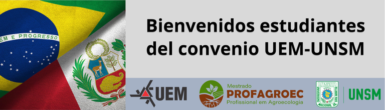 Banner bienvenidos estudiantes UEM-UNSM.png
