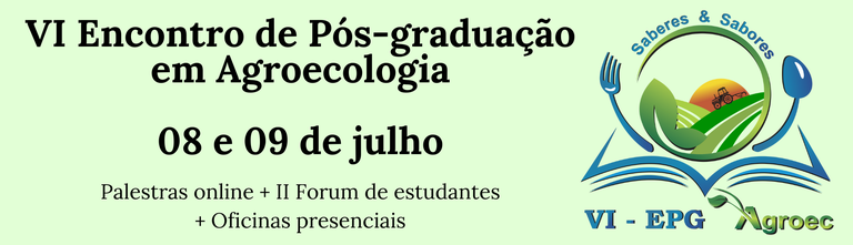 Divulgacao VI EPG.png