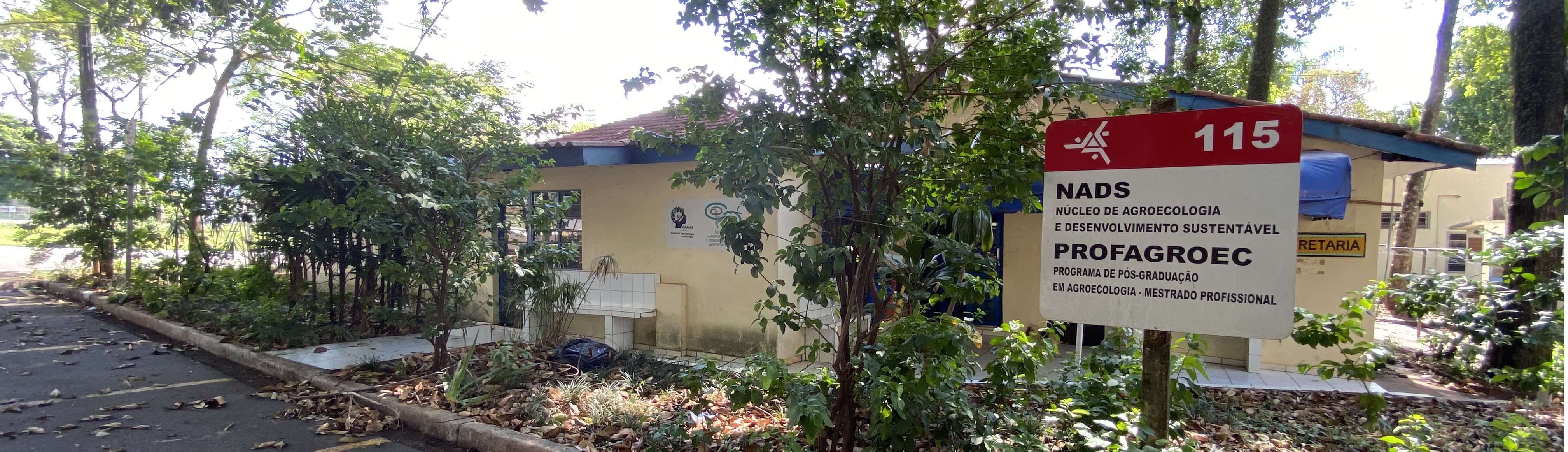 Fachada B115.jpg