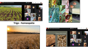 Foto 3 DA3 2020.png