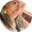 Alessandra Aparecida Silva.png