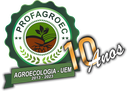 Selo 10 anos.png